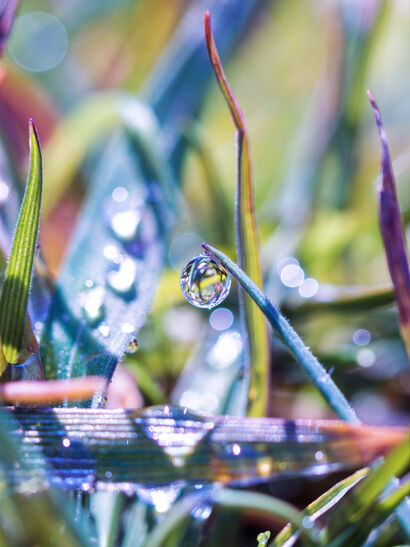 RAINBOW MORNING - a Photographic Art Artowrk by My Psychedelic Garden